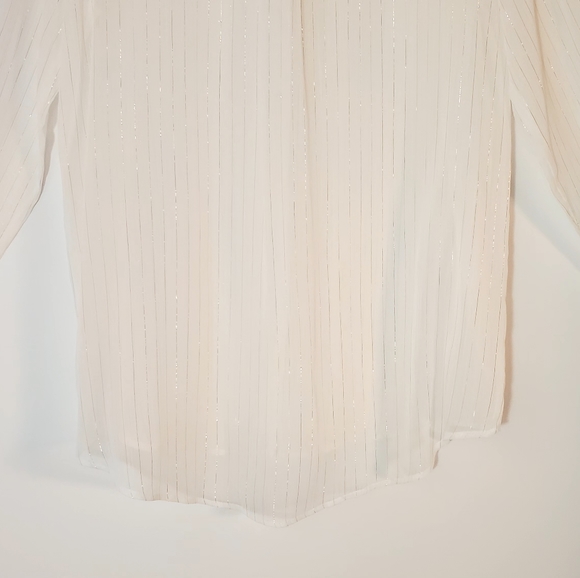 Zara Sheer Button Blouse - Picture 10 of 11
